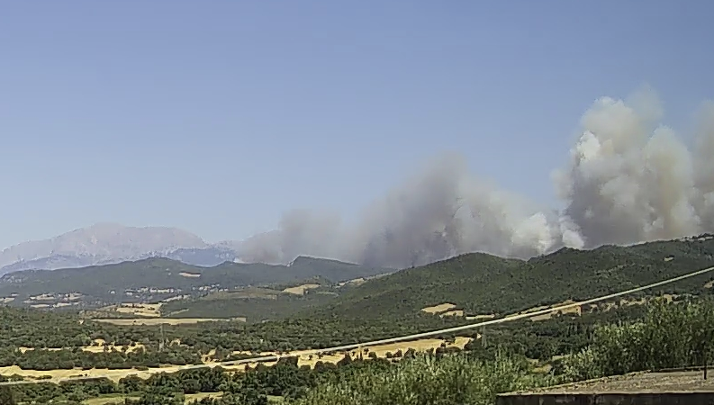 Πυρκαγιά σε αγροτοδασική έκταση στην περιοχή Μαστραντώνη Αχαΐας